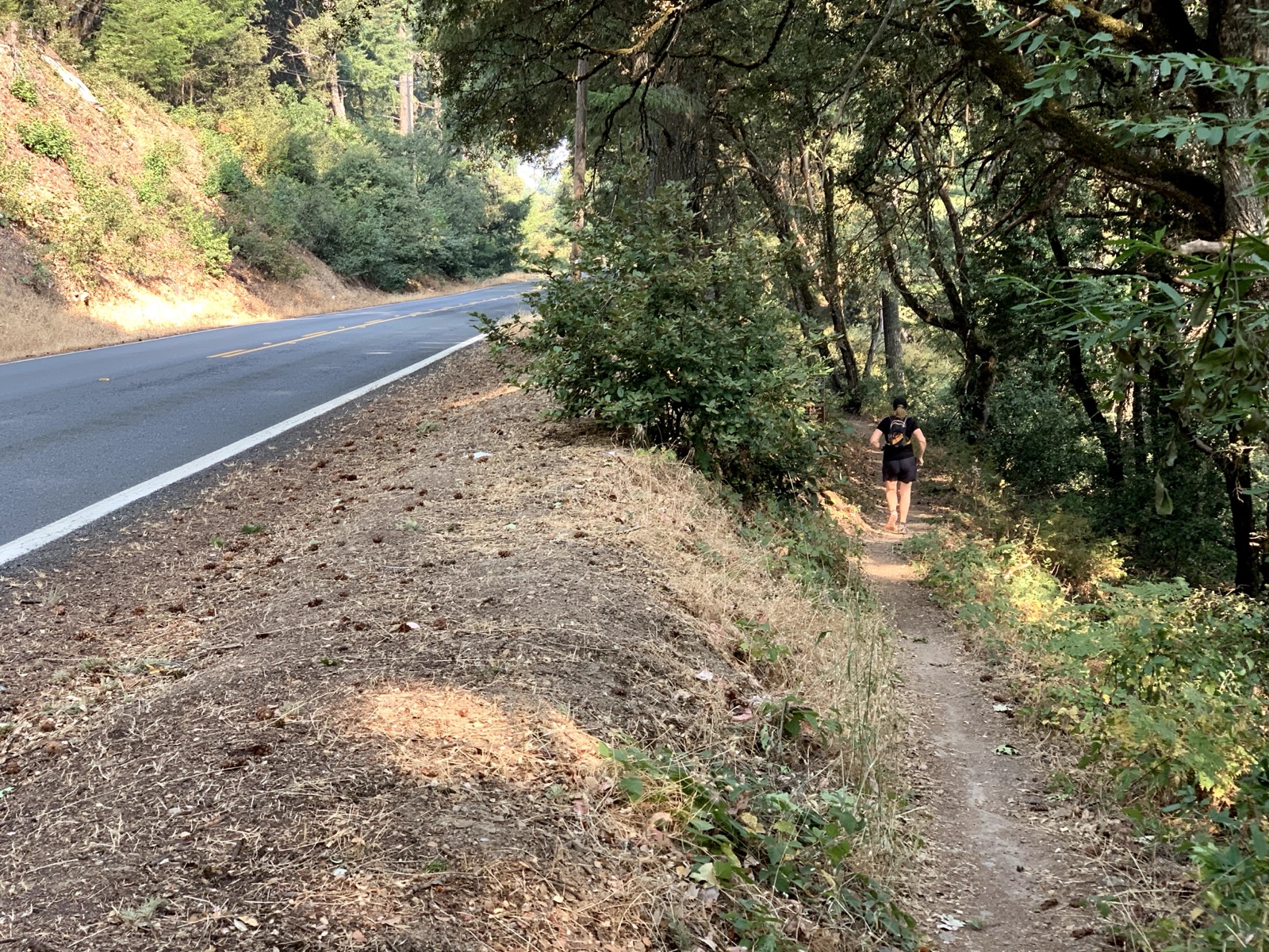Segment 58, photo 8