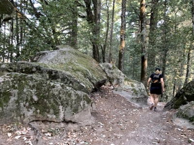 Segment 58 photo 3