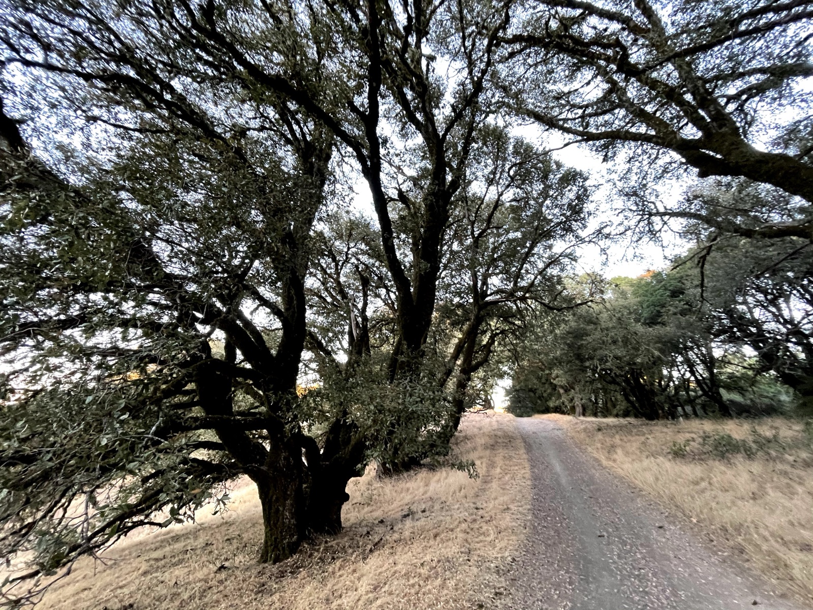 Segment 59, photo 2