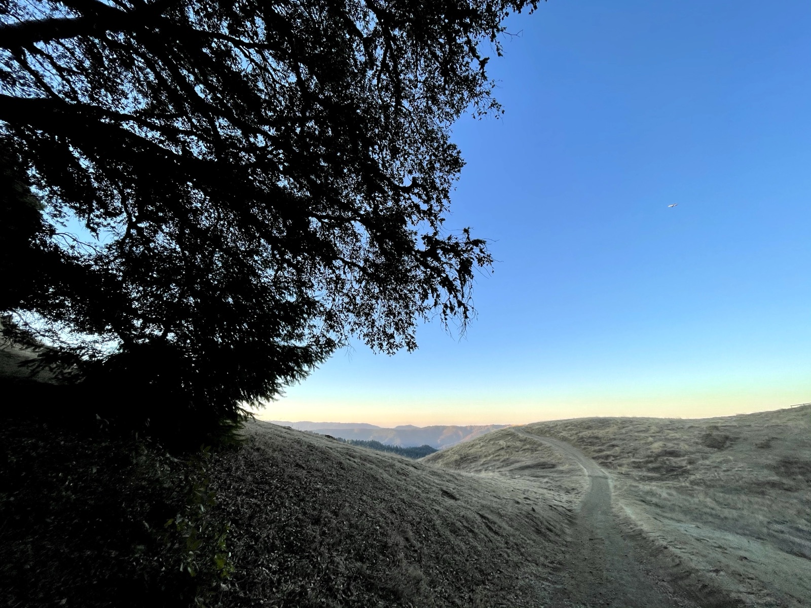 Segment 59, photo 3