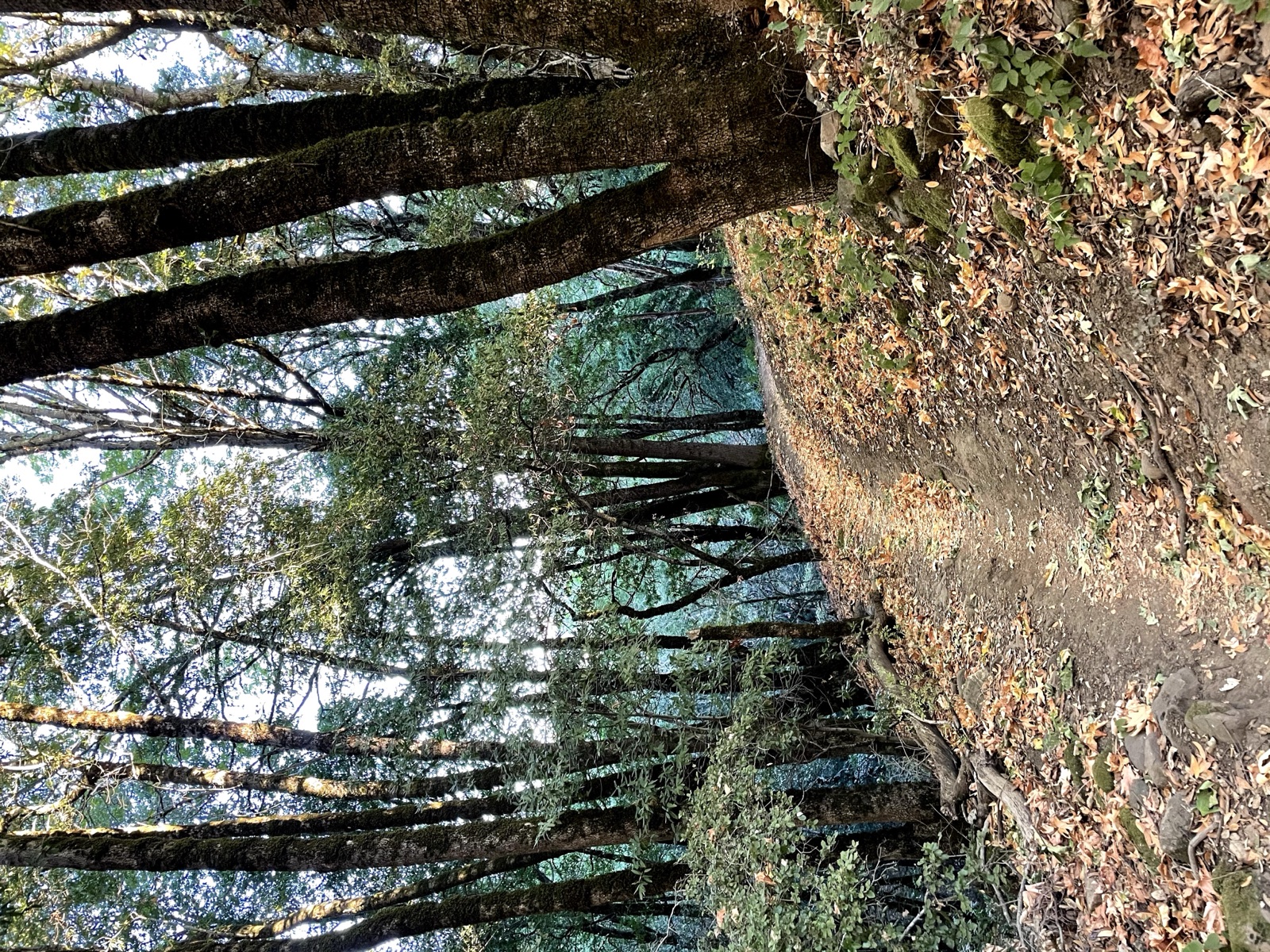Segment 59, photo 6