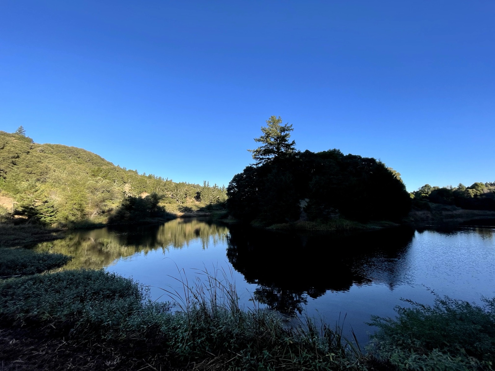 Segment 59, photo 7