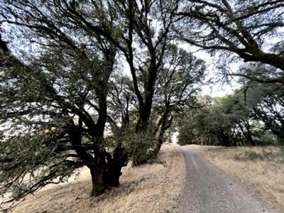 Segment 59 photo 2