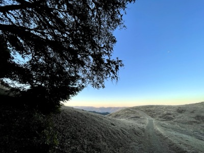 Segment 59 photo 3