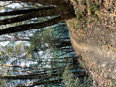 Segment 59 photo 6