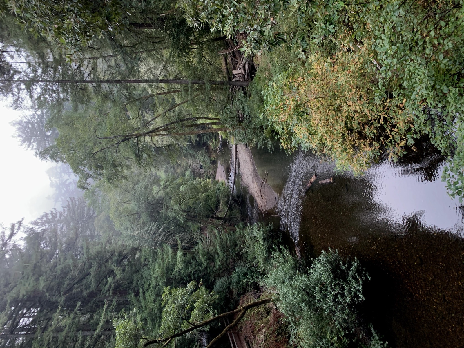 Segment 6, photo 1
