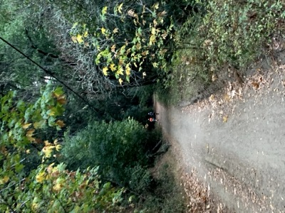 Segment 6 photo 2