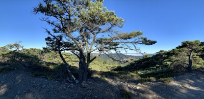 Segment 6 photo 12