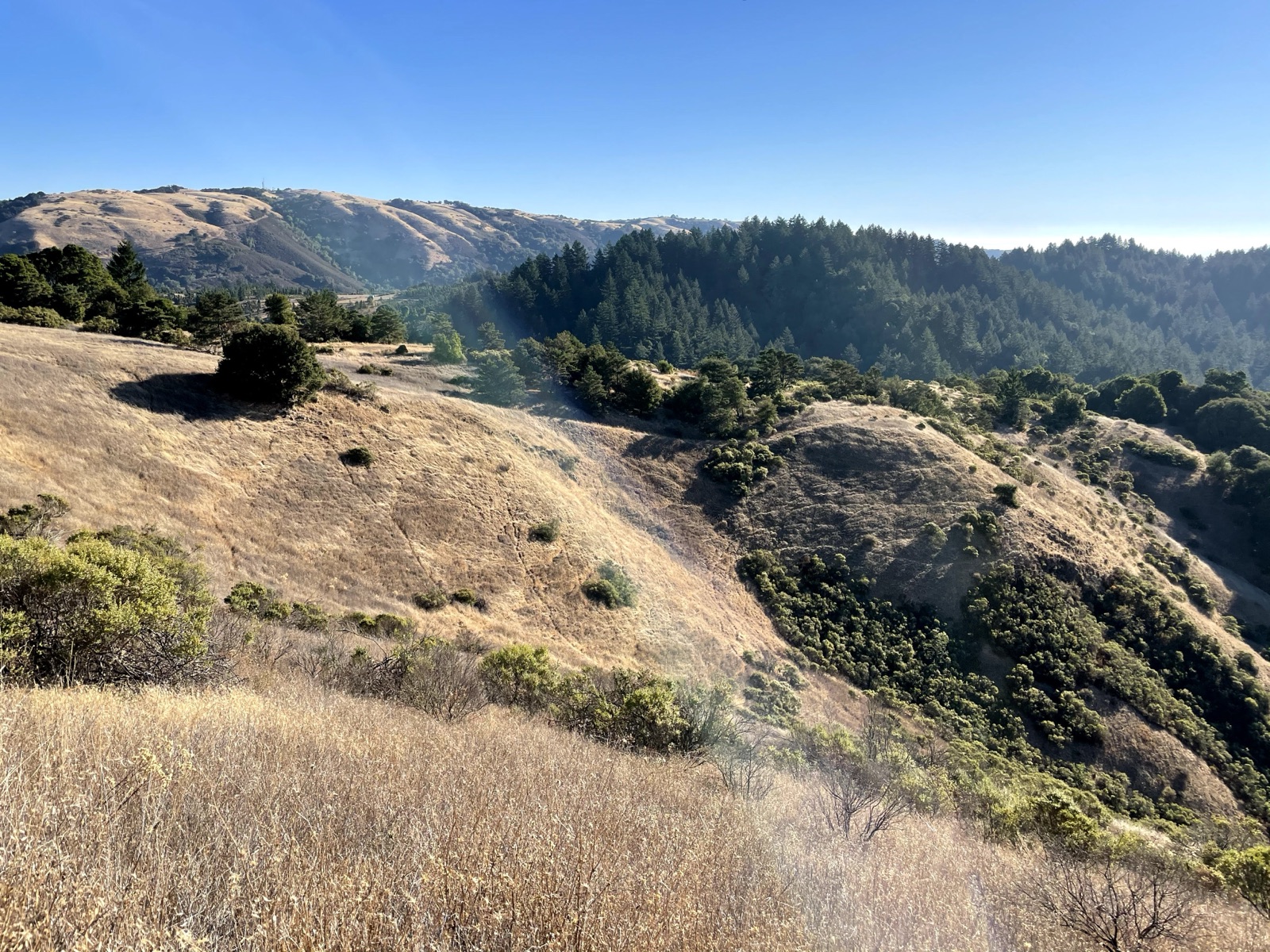 Segment 60, photo 1