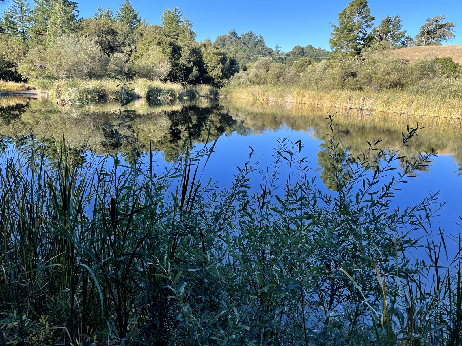 Segment 60, photo 2