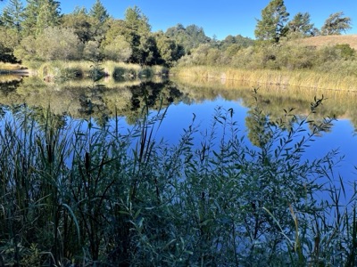 Segment 60 photo 2
