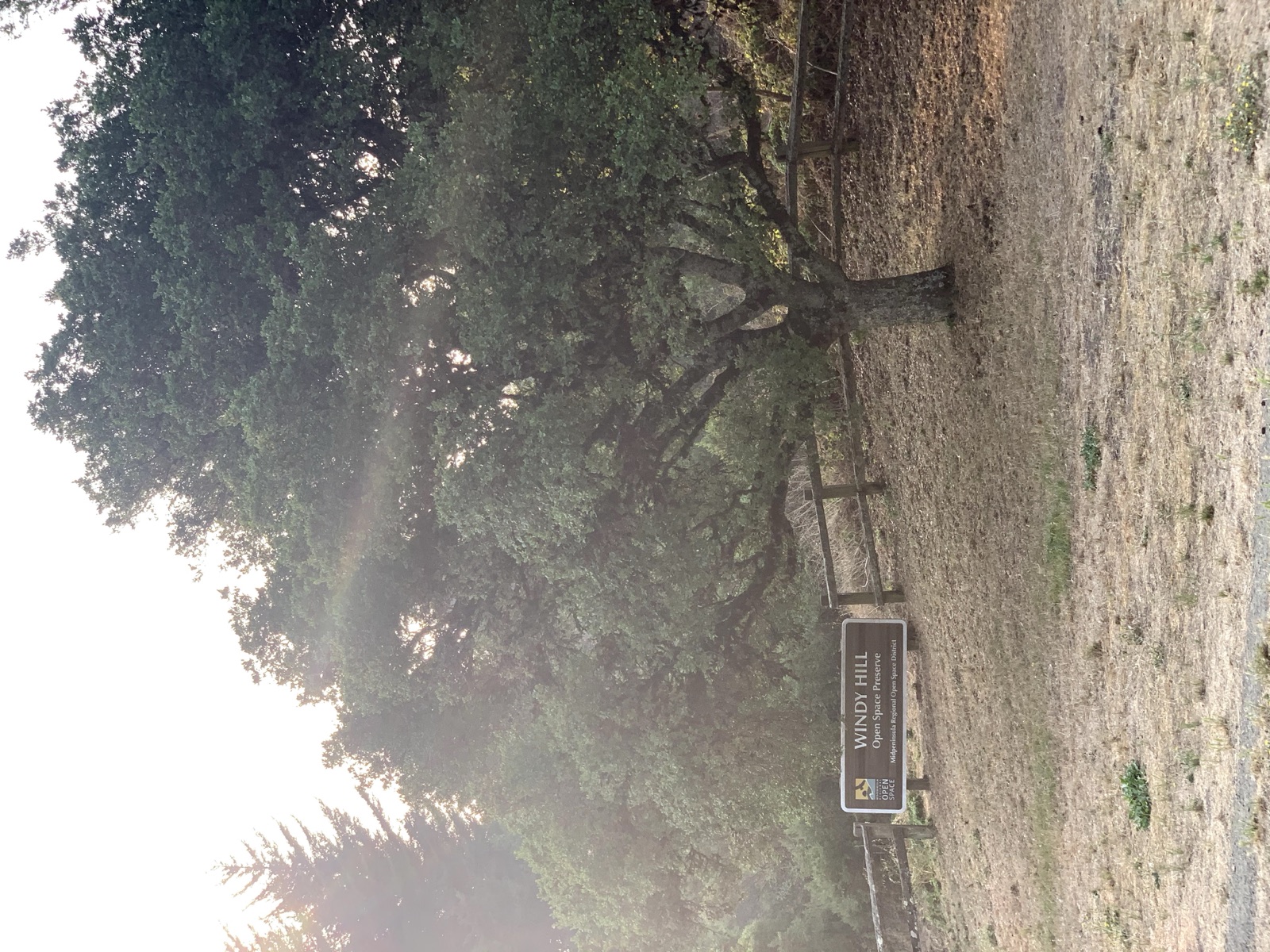 Segment 61, photo 2