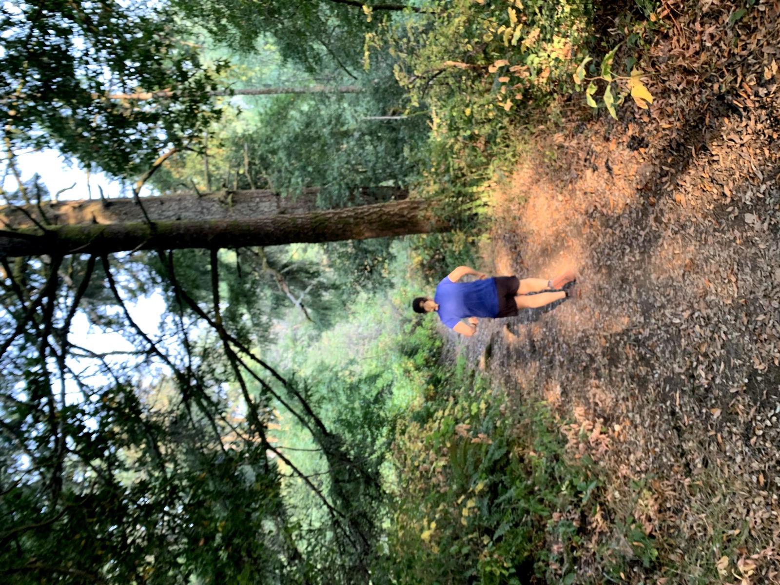 Segment 61, photo 8
