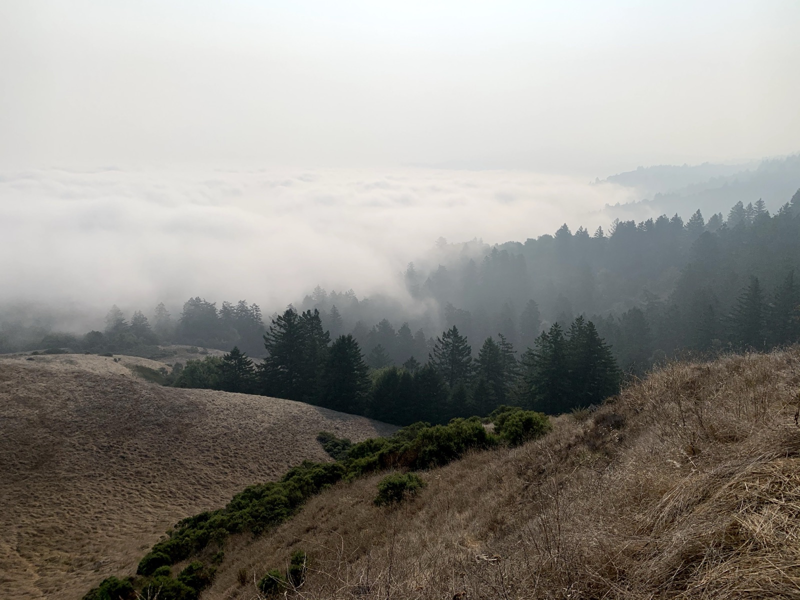 Segment 61, photo 11