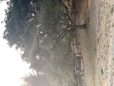 Segment 61 photo 2