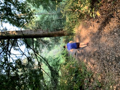 Segment 61 photo 8
