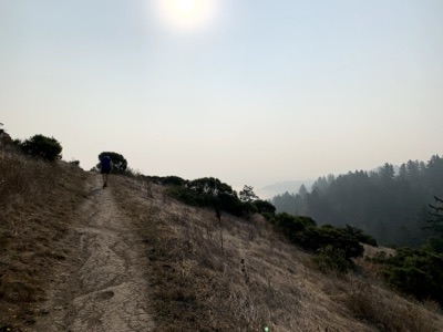 Segment 61 photo 10