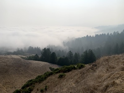 Segment 61 photo 11