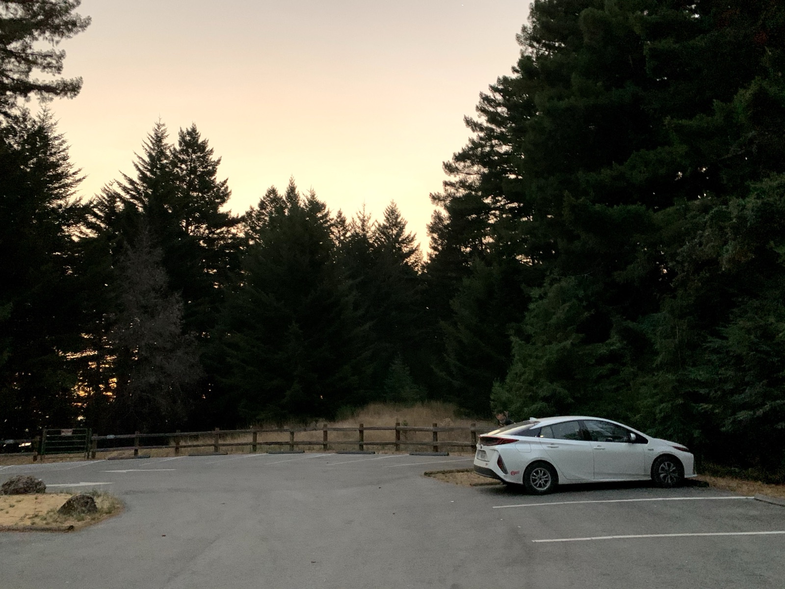 Segment 62, photo 1