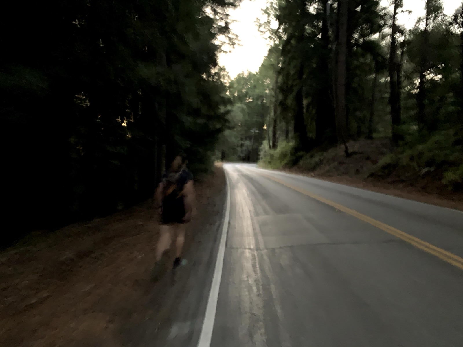 Segment 62, photo 3