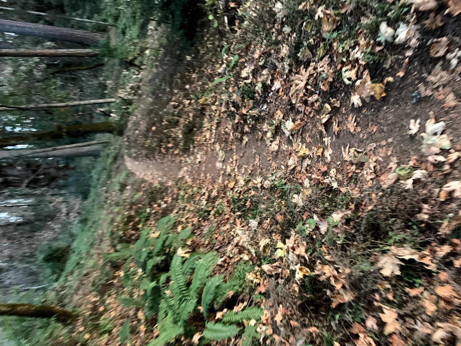 Segment 62, photo 4