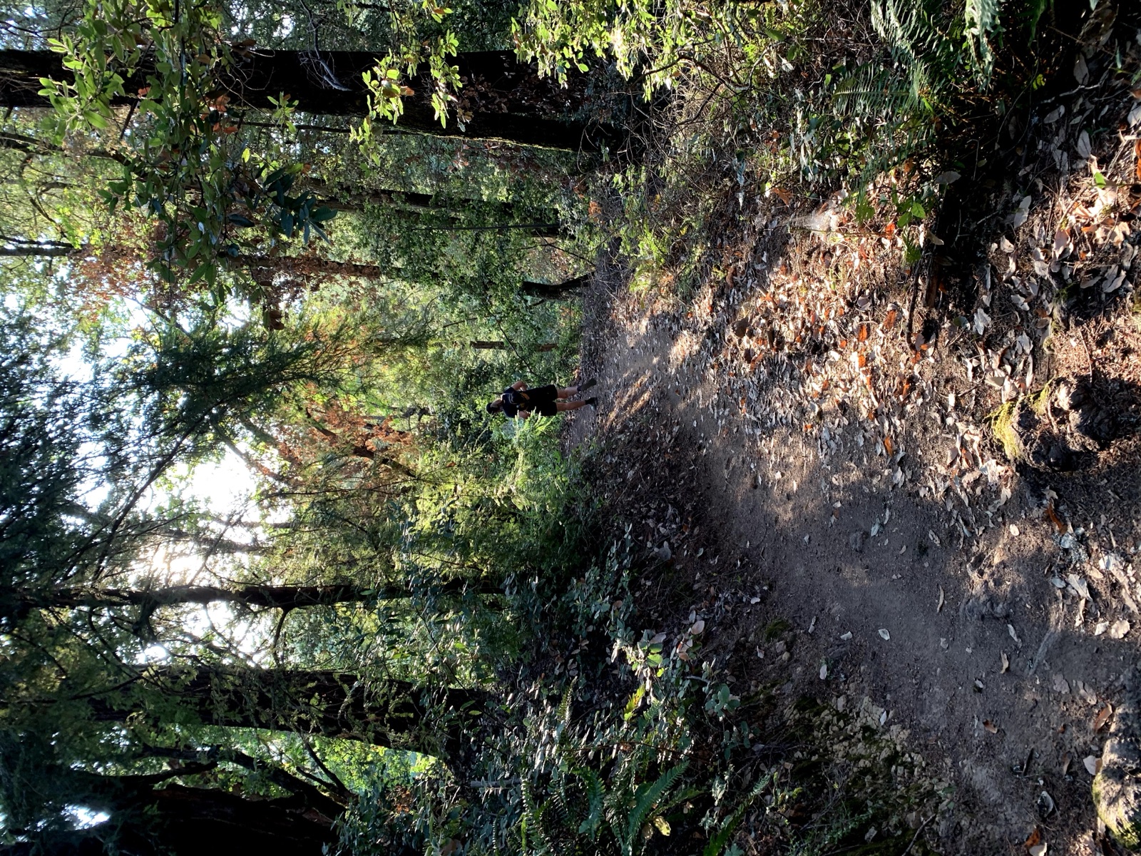 Segment 62, photo 6