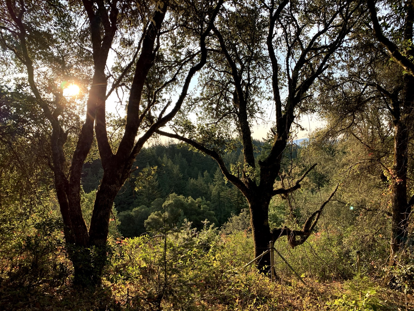 Segment 62, photo 7