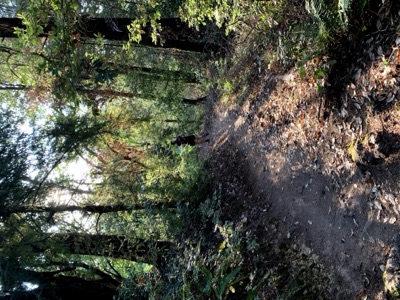 Segment 62 photo 6