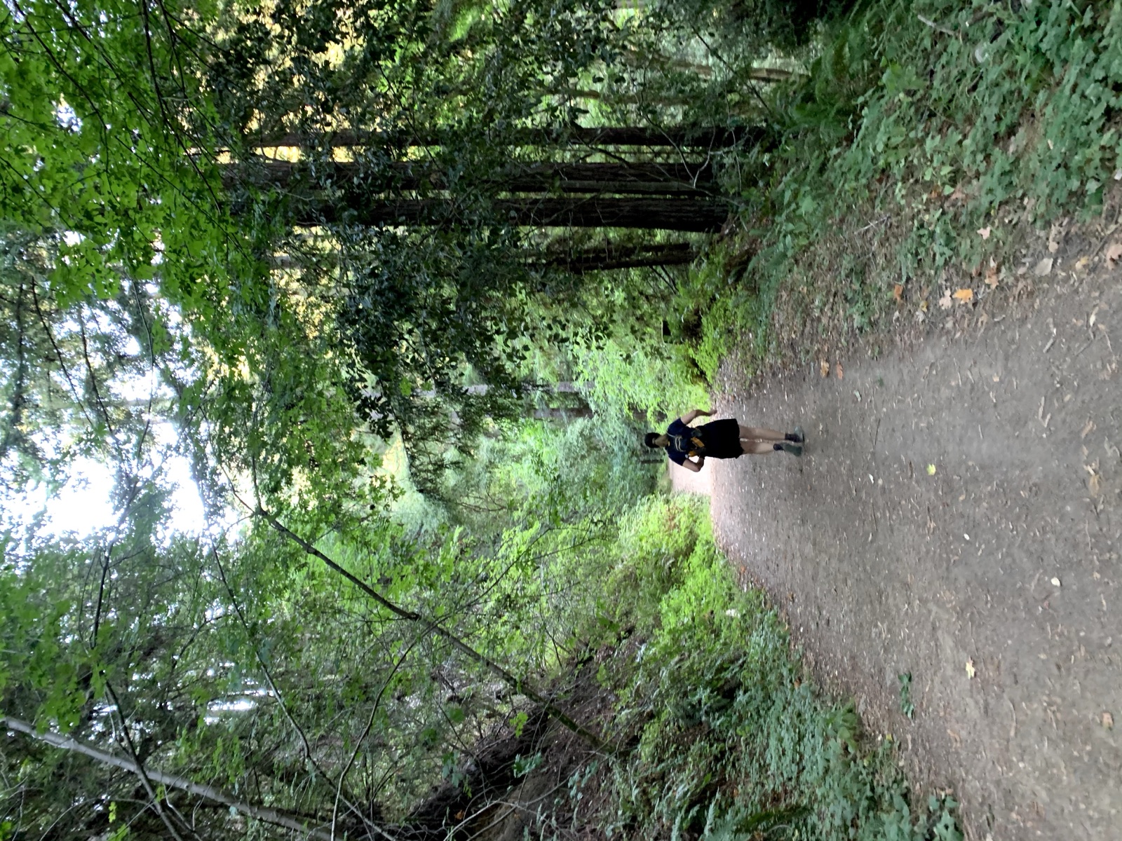 Segment 63, photo 2
