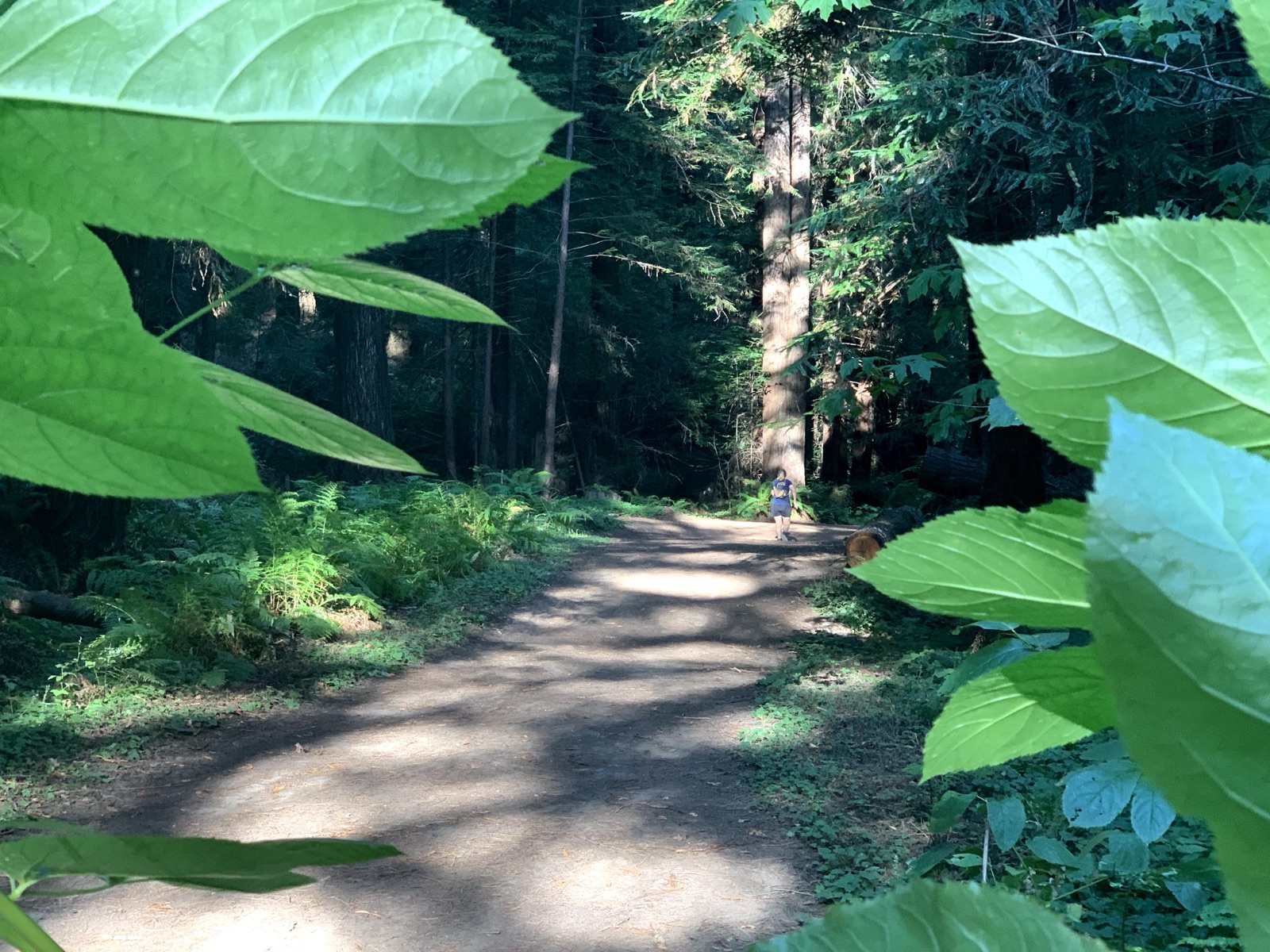 Segment 63, photo 3