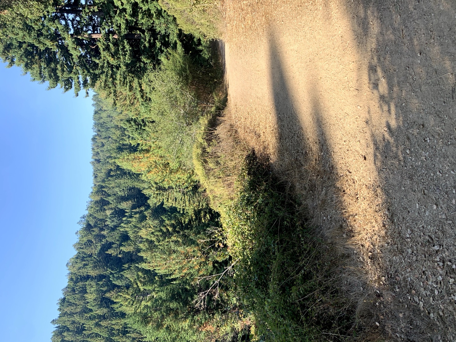 Segment 63, photo 7