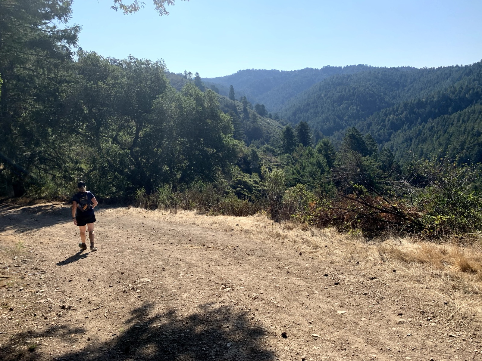 Segment 63, photo 9