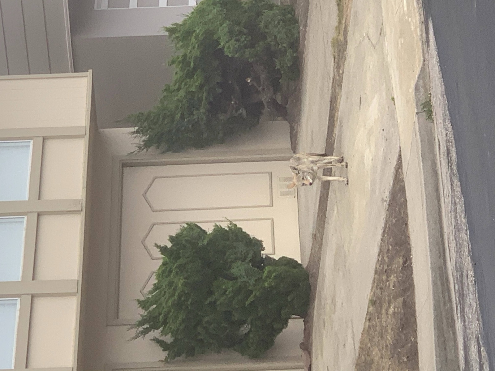 Segment 66, photo 5