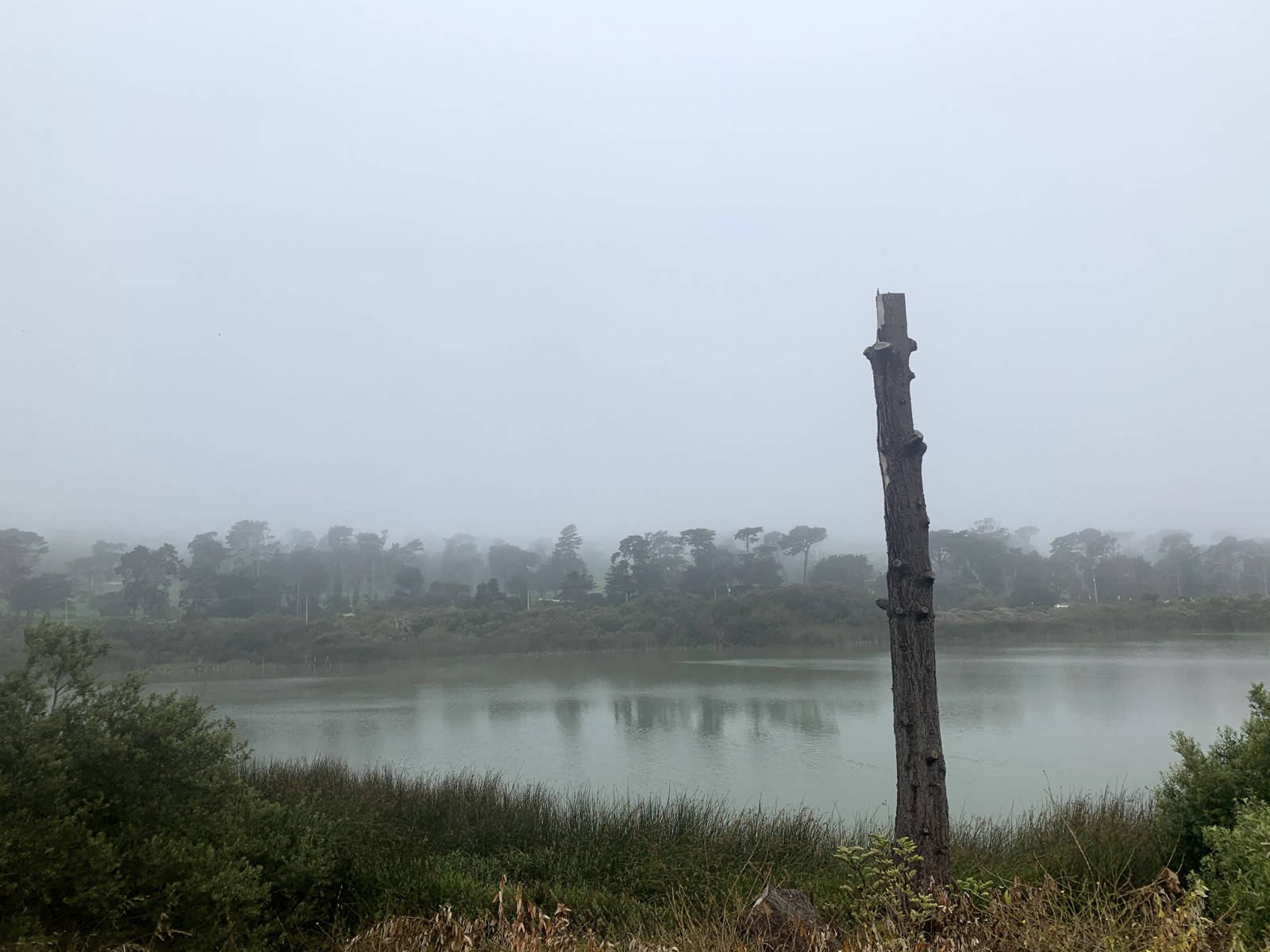 Segment 66, photo 11