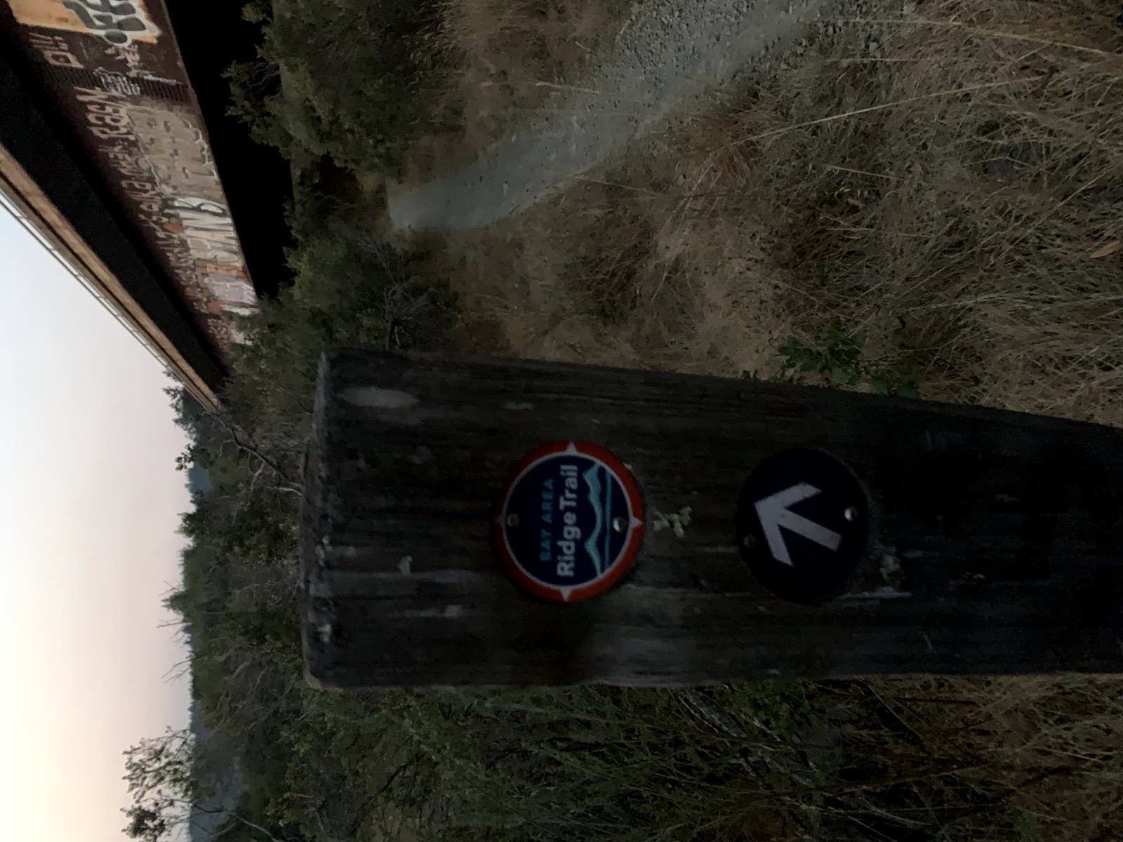 Segment 7, photo 4