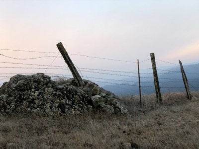 Segment 7 photo 12