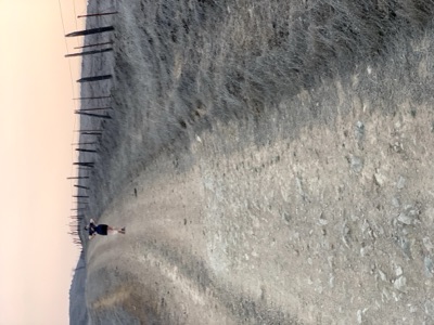 Segment 7 photo 13