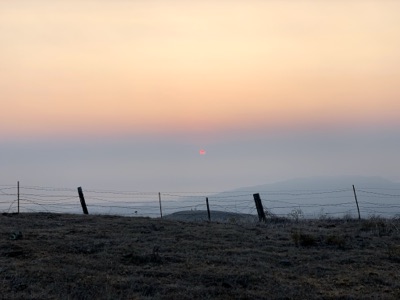 Segment 7 photo 14