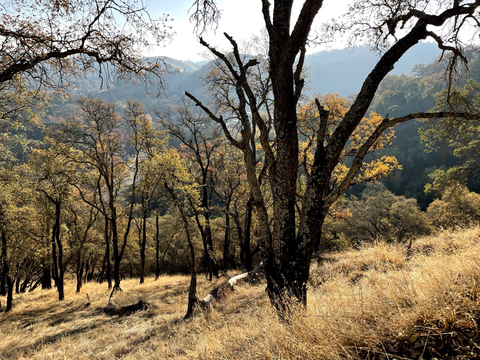 Segment 71, photo 3