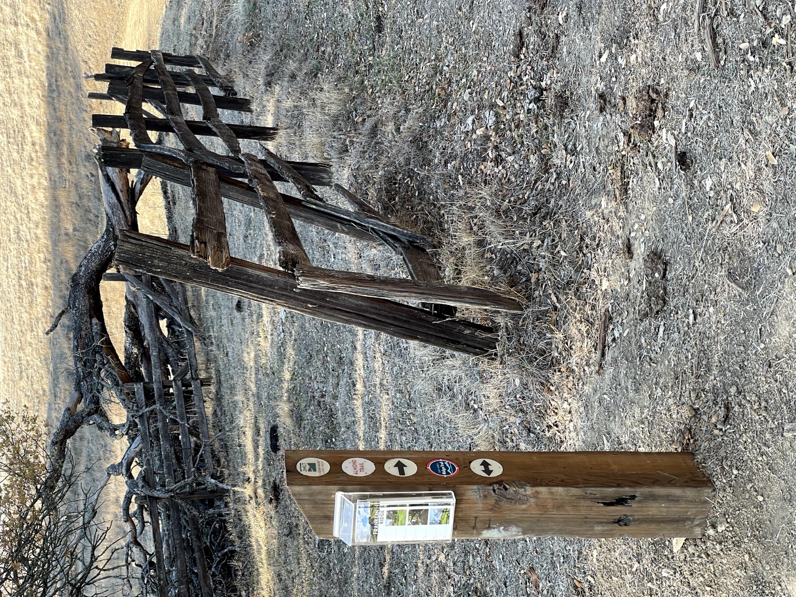 Segment 71, photo 5