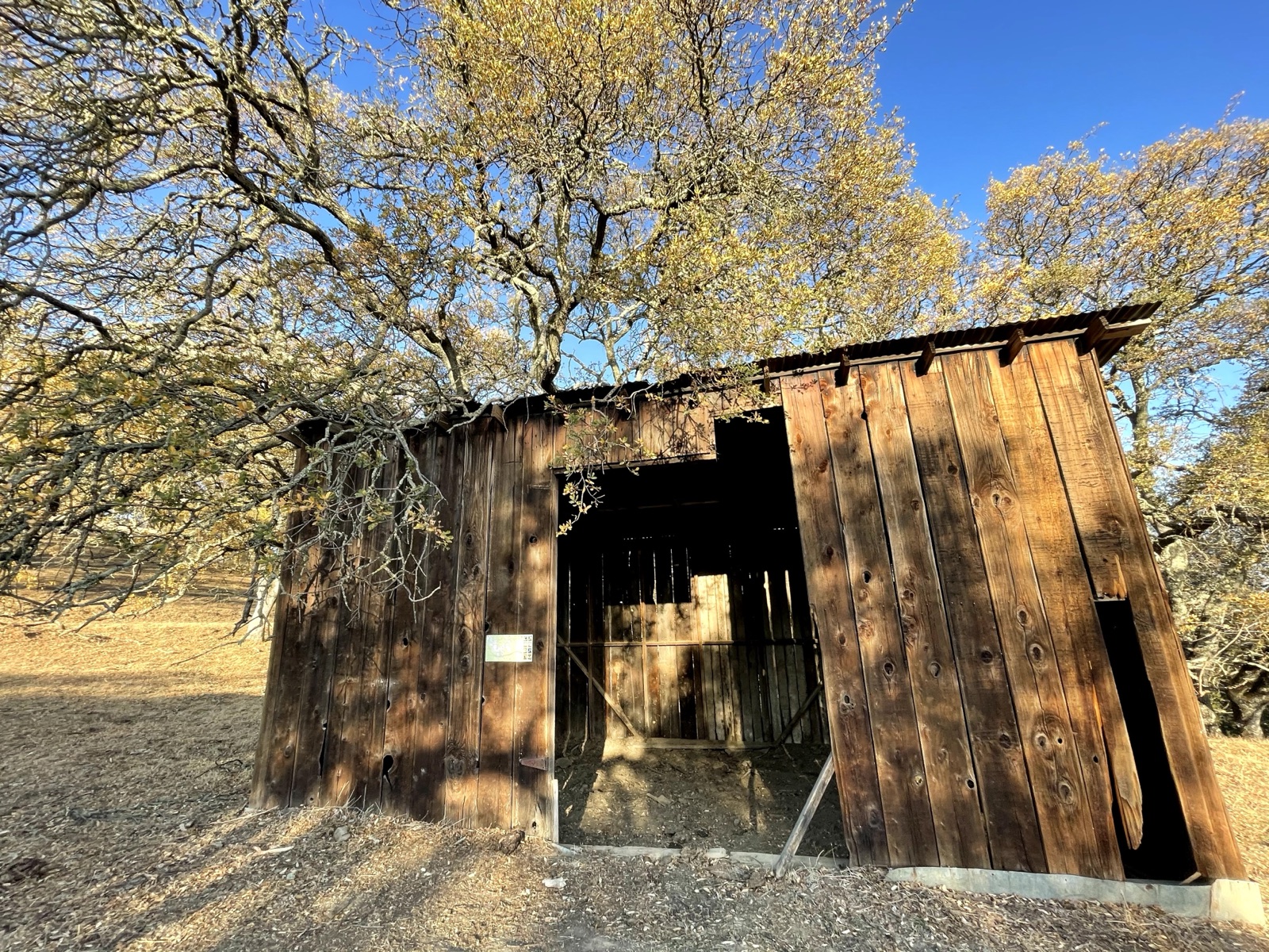 Segment 71, photo 6