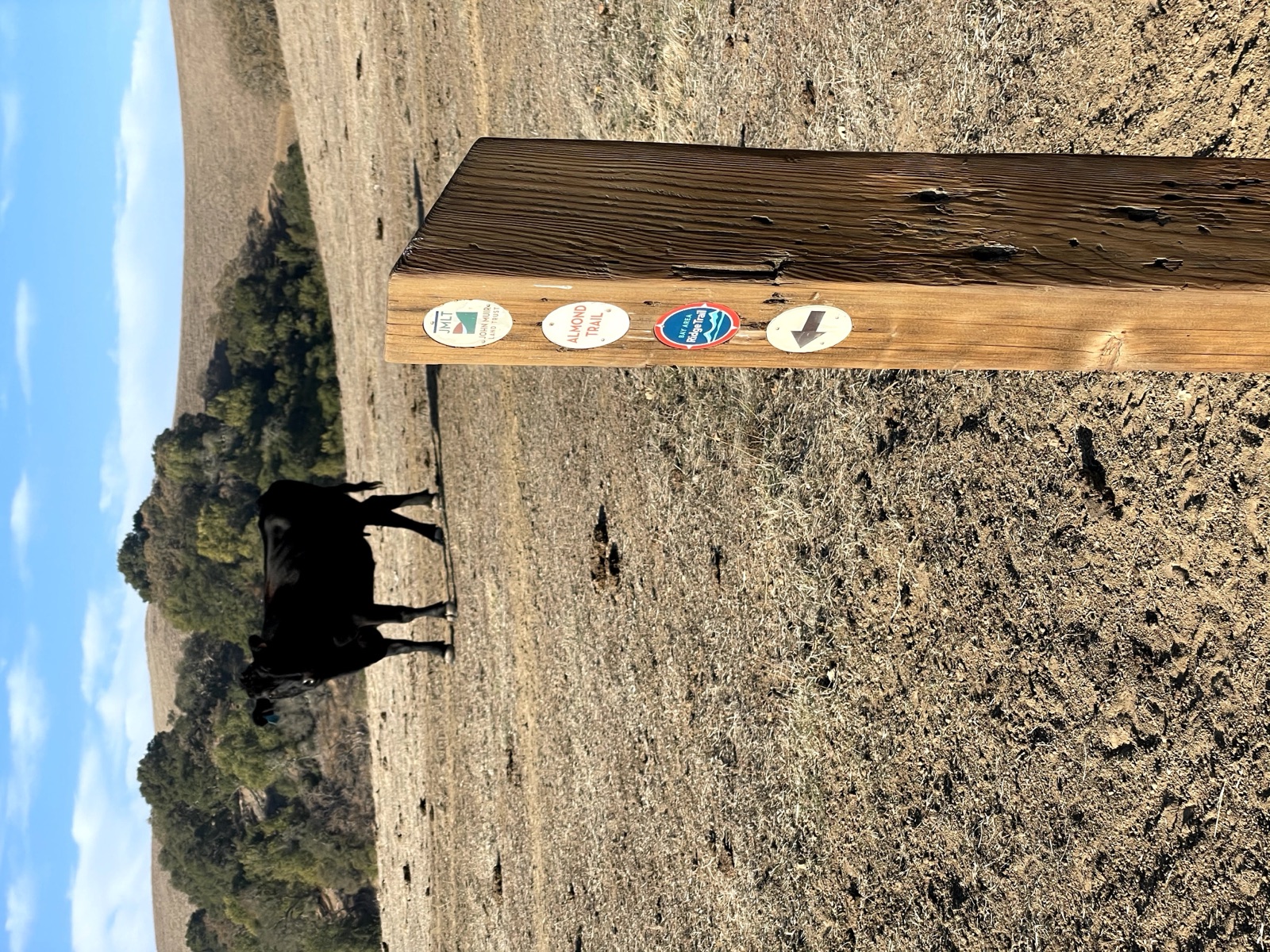 Segment 71, photo 9