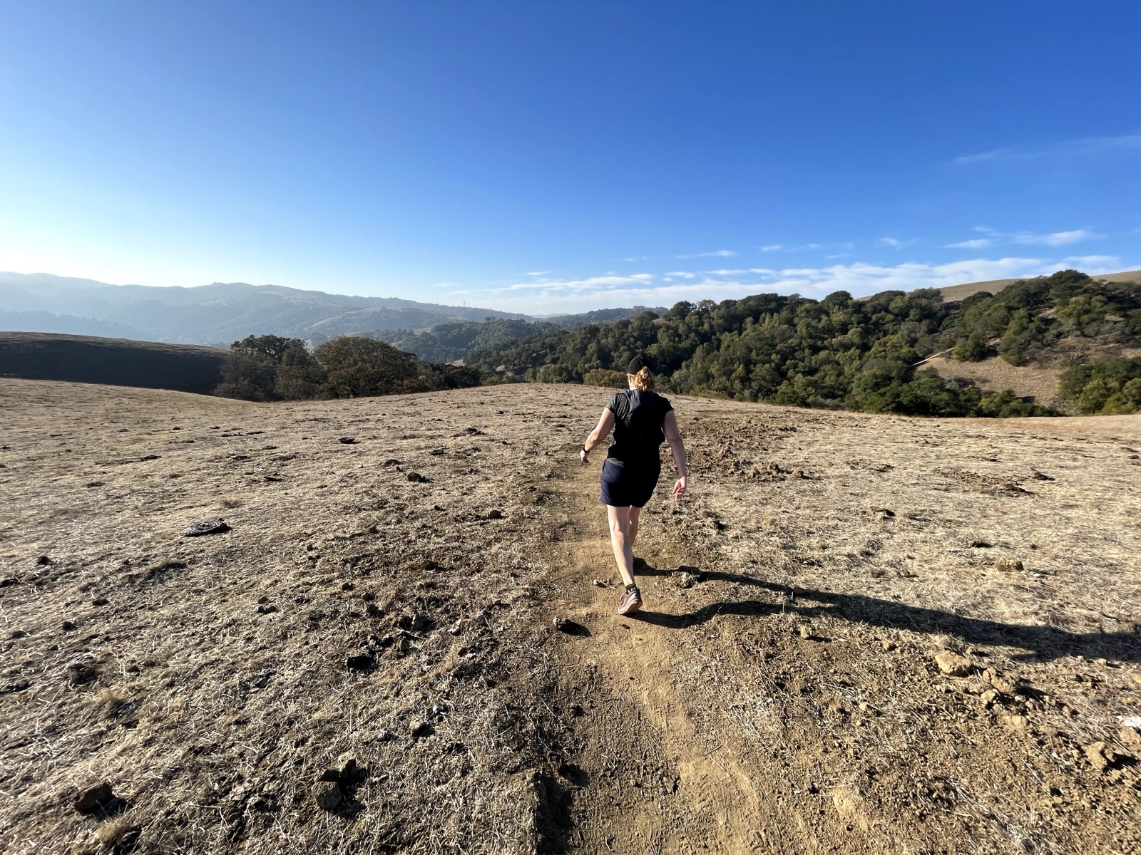 Segment 71, photo 11