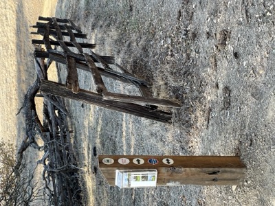 Almond Ranch