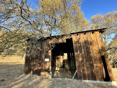 Almond Ranch