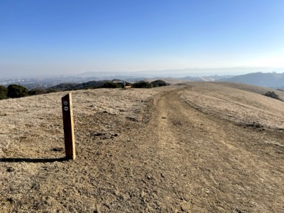 Almond Ranch