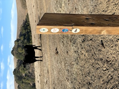 Almond Ranch