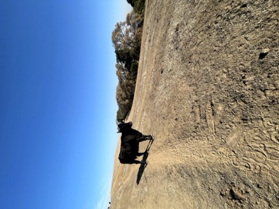 Almond Ranch