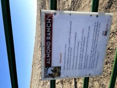 Almond Ranch