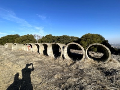 Almond Ranch